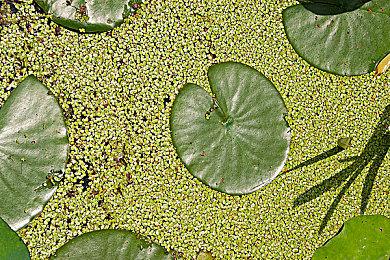 《自杀小队》销量令人失望 《霍格沃茨之遗》大获成功
