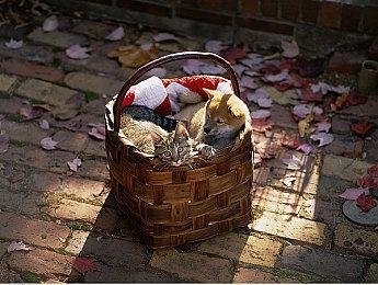 成就统计：9成Xbox玩家未通关《地狱之刃2》主线